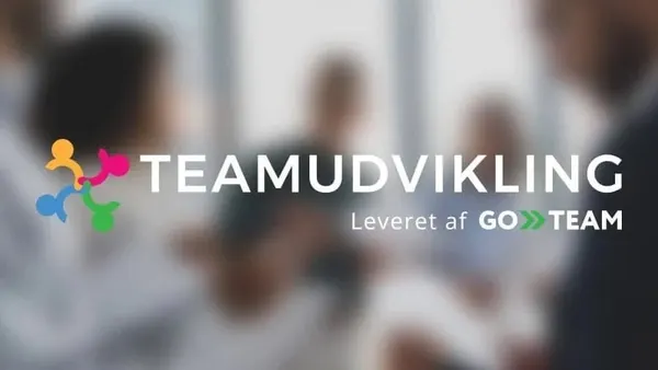 Professionel teamudvikling med HR-værktøjer og værdifuld viden.